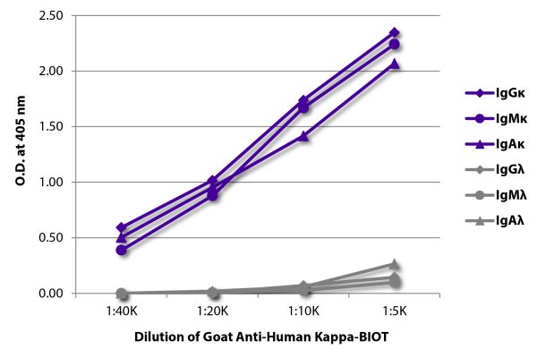 Abbildung: Ziege IgG anti-Human Kappa (leichte Kette)-Biotin, MinX keine