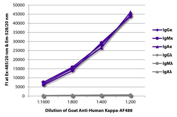 Image: Goat IgG anti-Human Kappa light chain-Alexa Fluor 488, MinX none