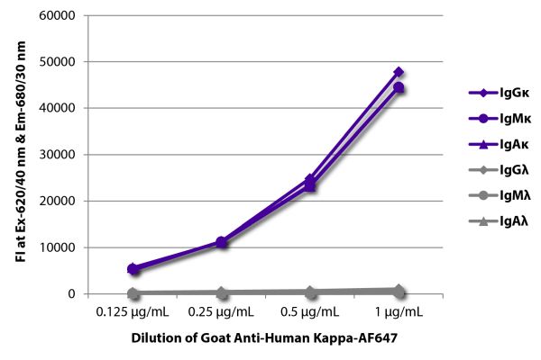 Abbildung: Ziege IgG anti-Human Kappa (leichte Kette)-Alexa Fluor 647, MinX keine