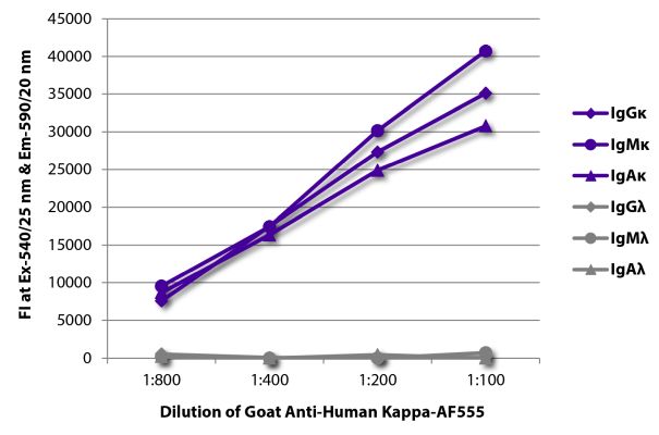 Image: Goat IgG anti-Human Kappa light chain-Alexa Fluor 555, MinX none