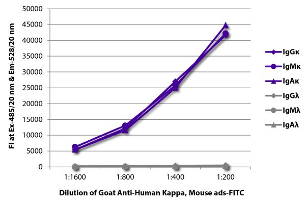 Abbildung: Ziege IgG anti-Human Kappa (leichte Kette)-FITC, MinX Ms