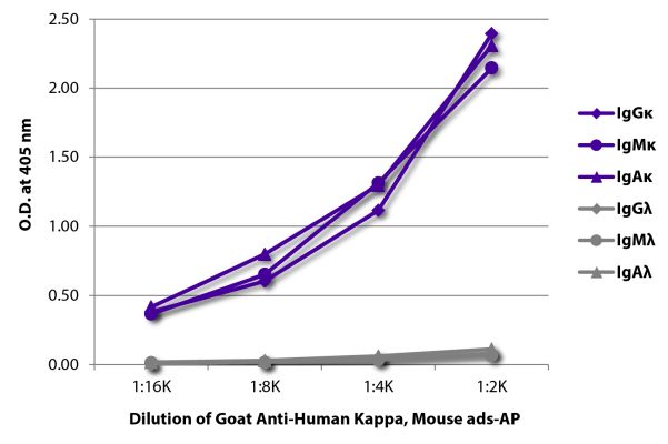 Abbildung: Ziege IgG anti-Human Kappa (leichte Kette)-Alk. Phos., MinX Ms