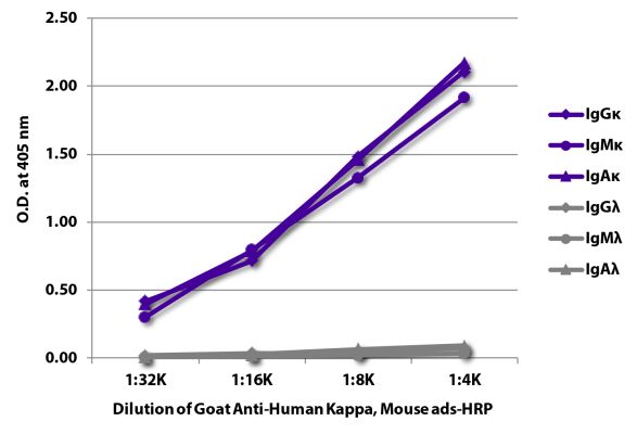 Abbildung: Ziege IgG anti-Human Kappa (leichte Kette)-HRPO, MinX Ms