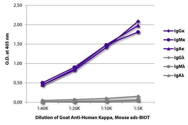 Abbildung: Ziege IgG anti-Human Kappa (leichte Kette)-Biotin, MinX Ms