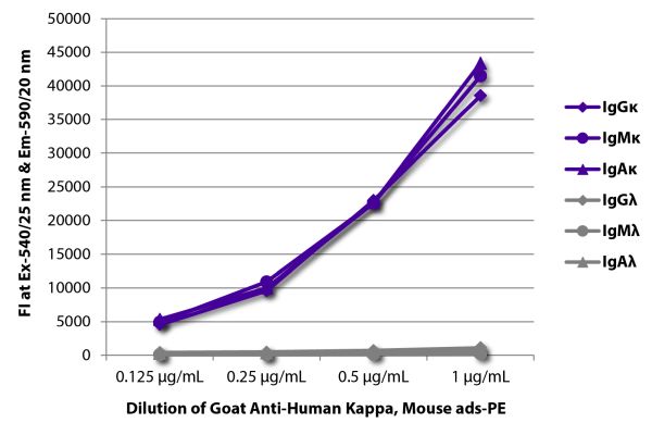 Abbildung: Ziege IgG anti-Human Kappa (leichte Kette)-RPE, MinX Ms