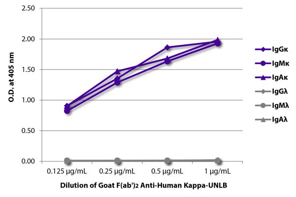 Abbildung: Ziege F(ab')2 anti-Human Kappa (leichte Kette)-unkonj., MinX keine