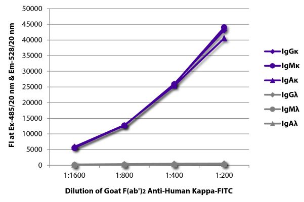 Abbildung: Ziege F(ab')2 anti-Human Kappa (leichte Kette)-FITC, MinX keine