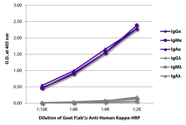 Abbildung: Ziege F(ab')2 anti-Human Kappa (leichte Kette)-HRPO, MinX keine
