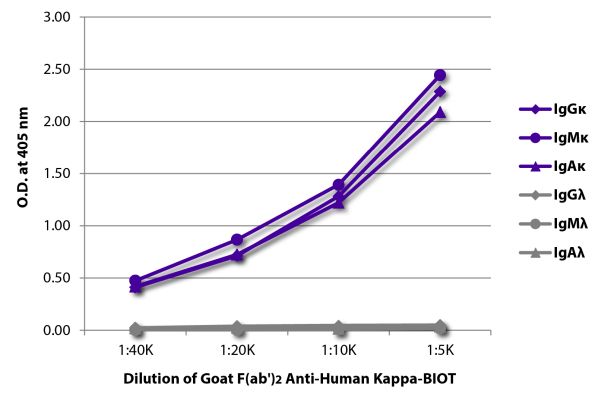Abbildung: Ziege F(ab')2 anti-Human Kappa (leichte Kette)-Biotin, MinX keine