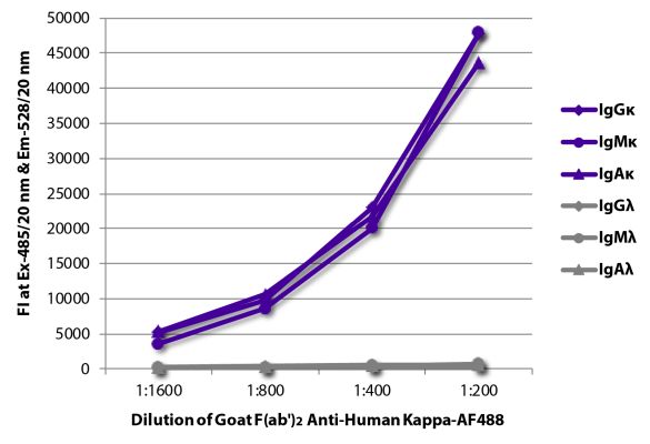 Image: Goat F(ab')2 anti-Human Kappa light chain-Alexa Fluor 488, MinX none