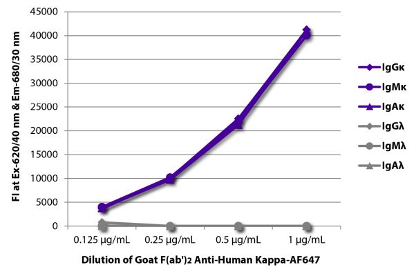 Abbildung: Ziege F(ab')2 anti-Human Kappa (leichte Kette)-Alexa Fluor 647, MinX keine