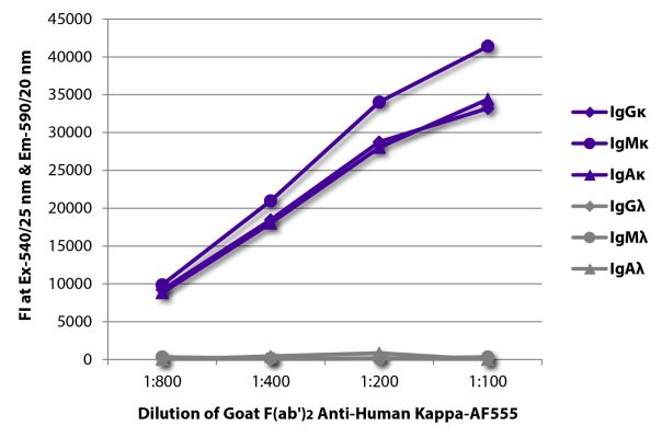 Abbildung: Ziege F(ab')2 anti-Human Kappa (leichte Kette)-Alexa Fluor 555, MinX keine