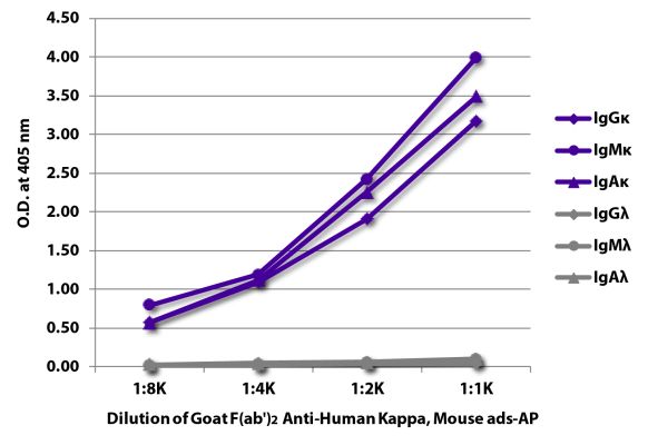 Image: Goat F(ab')2 anti-Human Kappa light chain-Alk. Phos., MinX Ms