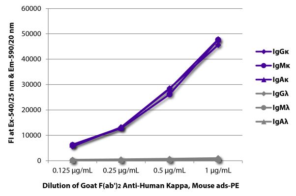 Image: Goat F(ab')2 anti-Human Kappa light chain-RPE, MinX Ms