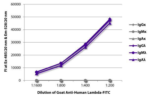 Abbildung: Ziege IgG anti-Human Lambda (leichte Kette)-FITC, MinX keine