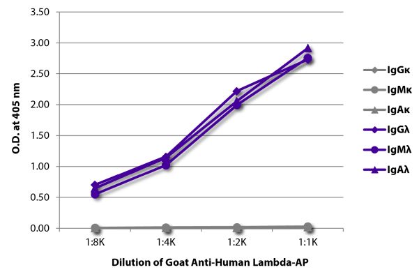 Abbildung: Ziege IgG anti-Human Lambda (leichte Kette)-Alk. Phos., MinX keine