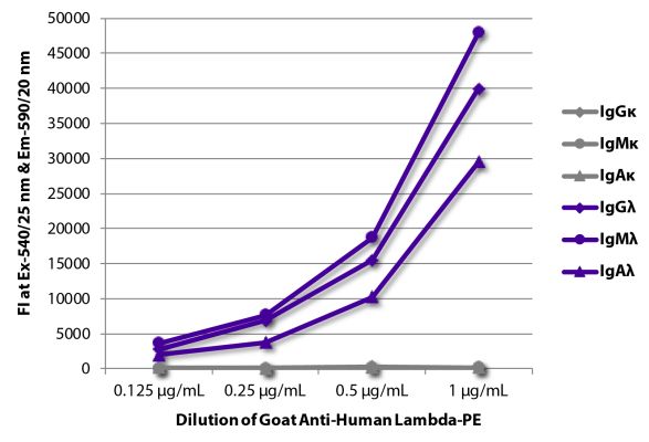 Abbildung: Ziege IgG anti-Human Lambda (leichte Kette)-RPE, MinX keine