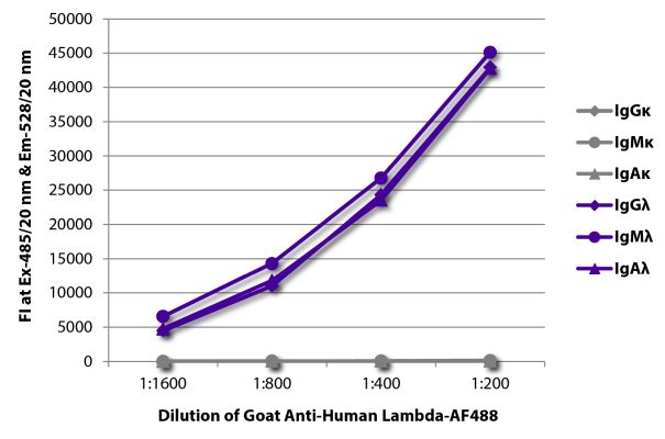 Abbildung: Ziege IgG anti-Human Lambda (leichte Kette)-Alexa Fluor 488, MinX keine
