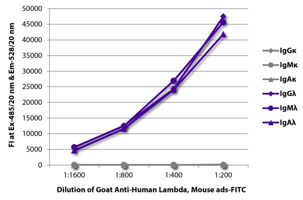 Abbildung: Ziege IgG anti-Human Lambda (leichte Kette)-FITC, MinX Ms