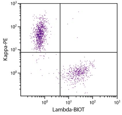 Abbildung: Ziege IgG anti-Human Lambda (leichte Kette)-Biotin, MinX Ms