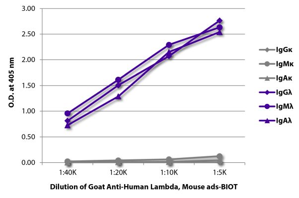 Abbildung: Ziege IgG anti-Human Lambda (leichte Kette)-Biotin, MinX Ms