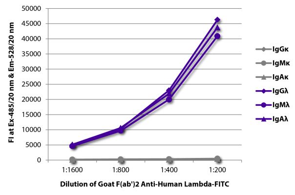 Abbildung: Ziege F(ab')2 anti-Human Lambda (leichte Kette)-FITC, MinX keine