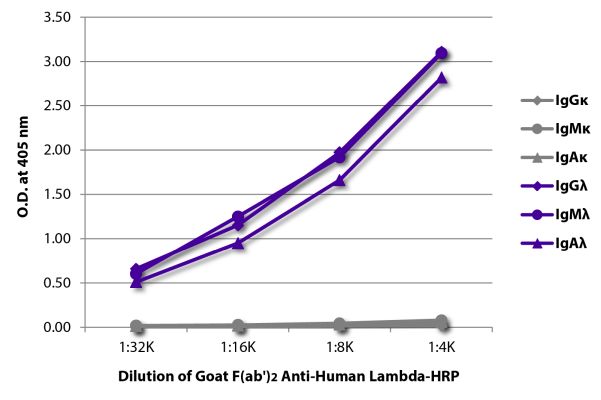 Abbildung: Ziege F(ab')2 anti-Human Lambda (leichte Kette)-HRPO, MinX keine