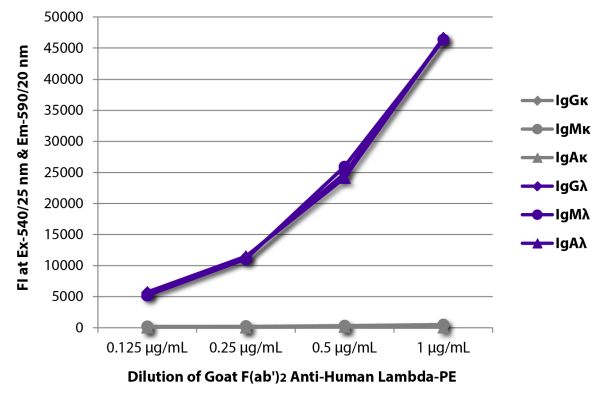 Abbildung: Ziege F(ab')2 anti-Human Lambda (leichte Kette)-RPE, MinX keine