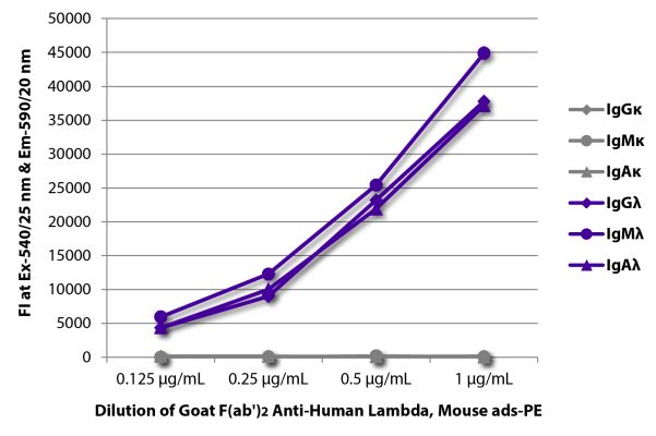 Abbildung: Ziege F(ab')2 anti-Human Lambda (leichte Kette)-RPE, MinX Ms