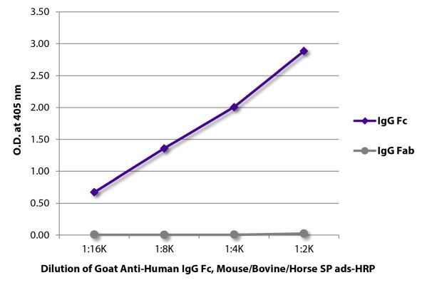 Abbildung: Ziege IgG anti-Human IgG (Fc)-HRPO, MinX Ms,Bo,Ho