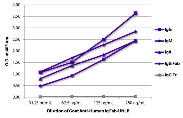 Abbildung: Ziege IgG anti-Human IgG (F(ab')2)-unkonj., MinX keine