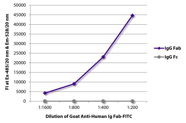 Abbildung: Ziege IgG anti-Human IgG (F(ab')2)-FITC, MinX keine