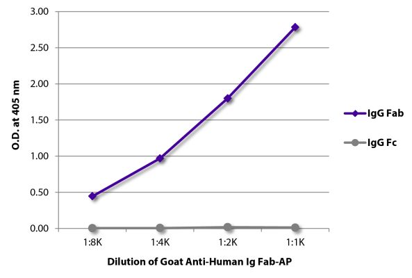 Abbildung: Ziege IgG anti-Human IgG (F(ab')2)-Alk. Phos., MinX keine