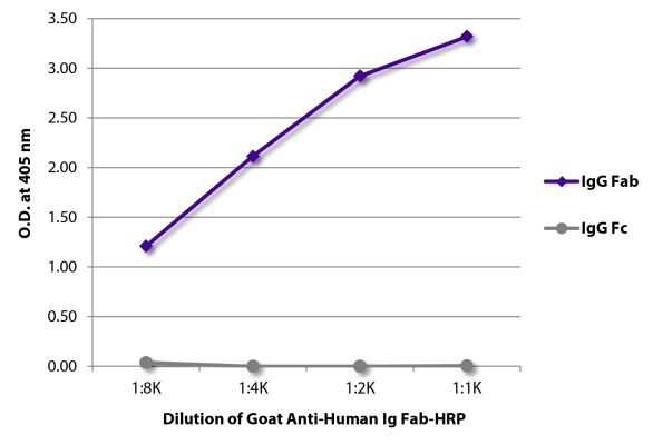 Abbildung: Ziege IgG anti-Human IgG (F(ab')2)-HRPO, MinX keine
