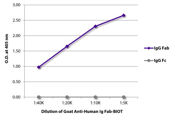 Abbildung: Ziege IgG anti-Human IgG (F(ab')2)-Biotin, MinX keine