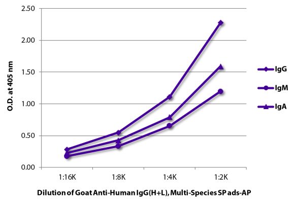 Image: Goat IgG anti-Human IgG (H+L)-Alk. Phos., MinX Rb,Ms,Rt,Bo,Ho,Ha,Go,Sh,Ck,Gp