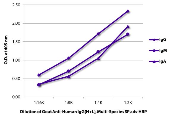 Abbildung: Ziege IgG anti-Human IgG (H+L)-HRPO, MinX Rb,Ms,Rt,Bo,Ho,Ha,Go,Sh,Ck,Gp