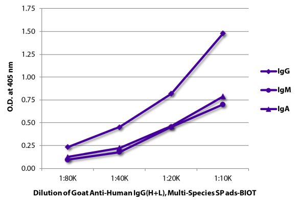 Abbildung: Ziege IgG anti-Human IgG (H+L)-Biotin, MinX Rb,Ms,Rt,Bo,Ho,Ha,Go,Sh,Ck,Gp