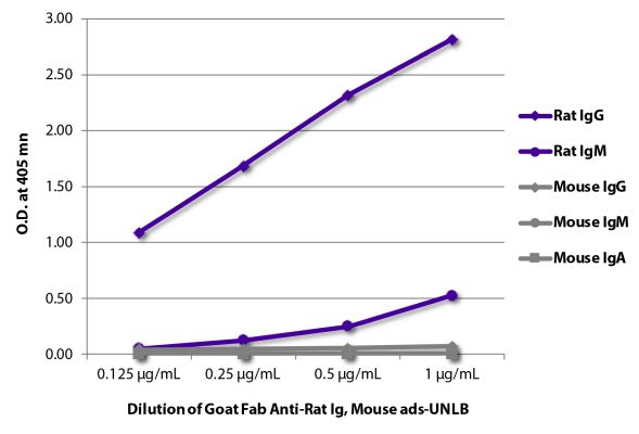 Abbildung: Ziege IgG anti-Ratte IgG+IgM (H+L)-unkonj., MinX Ms