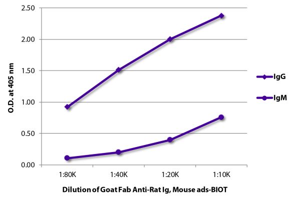 Abbildung: Ziege IgG anti-Ratte IgG+IgM (H+L)-Biotin, MinX Ms
