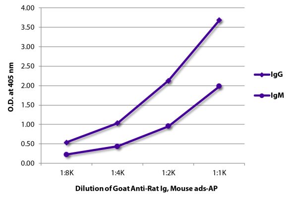Image: Goat IgG anti-Rat IgG+IgM (H+L)-Alk. Phos., MinX Ms