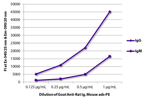 Abbildung: Ziege IgG anti-Ratte IgG+IgM (H+L)-RPE, MinX Ms