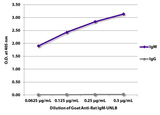 Abbildung: Ziege IgG anti-Ratte IgM (µ)-unkonj., MinX keine