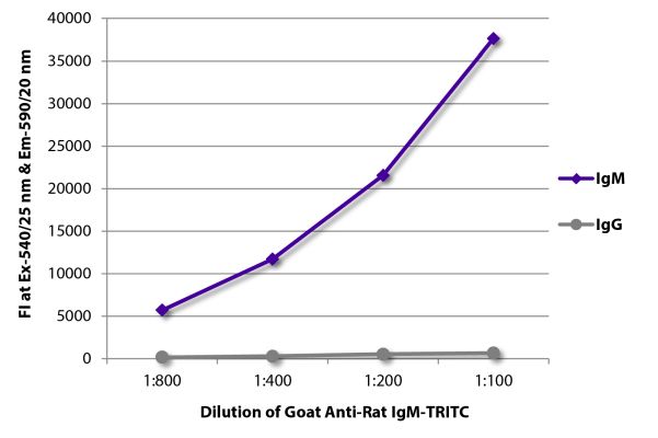 Abbildung: Ziege IgG anti-Ratte IgM (µ)-TRITC, MinX keine