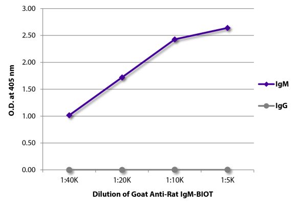Abbildung: Ziege IgG anti-Ratte IgM (µ)-Biotin, MinX keine