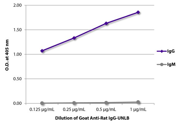 Abbildung: Ziege IgG anti-Ratte IgG (Fc)-unkonj., MinX keine