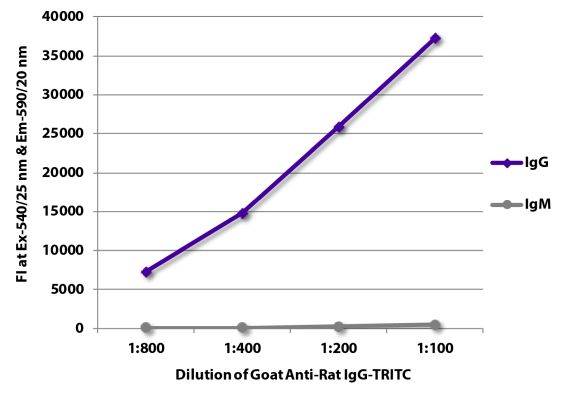 Abbildung: Ziege IgG anti-Ratte IgG (Fc)-TRITC, MinX keine