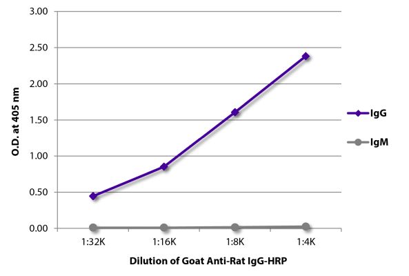 Abbildung: Ziege IgG anti-Ratte IgG (Fc)-HRPO, MinX keine