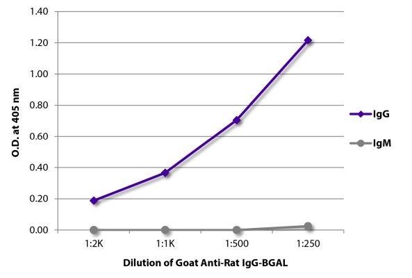 Image: Goat IgG anti-Rat IgG (Fc)-BGAL, MinX none