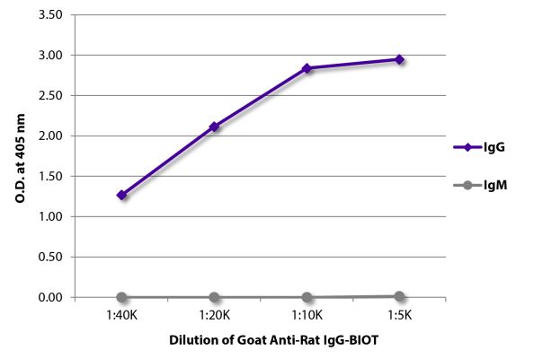 Image: Goat IgG anti-Rat IgG (Fc)-Biotin, MinX none